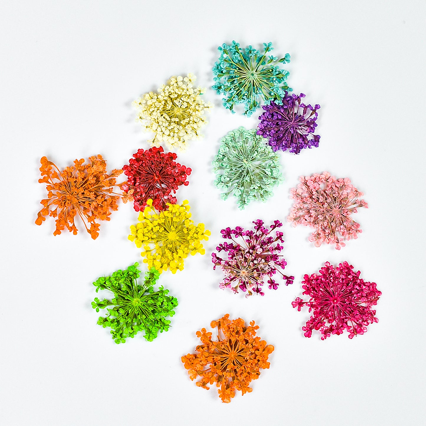 Dried Flowers