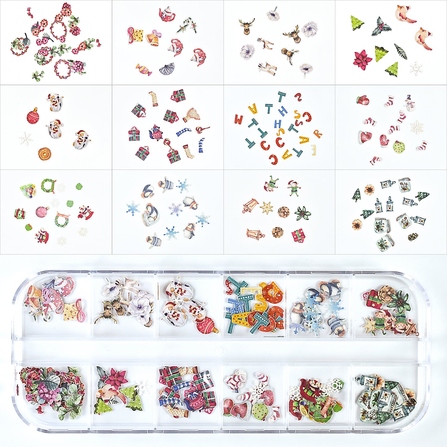 Dried Flowers