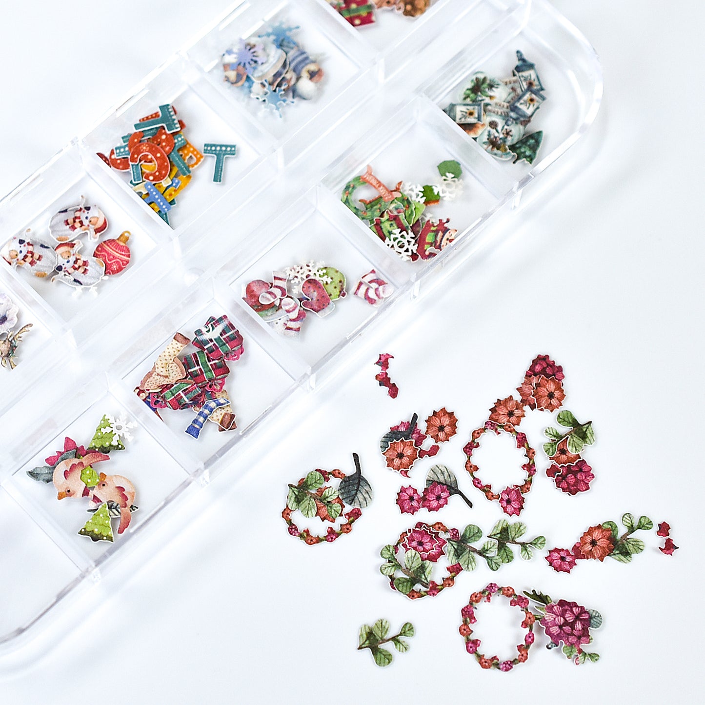 Dried Flowers