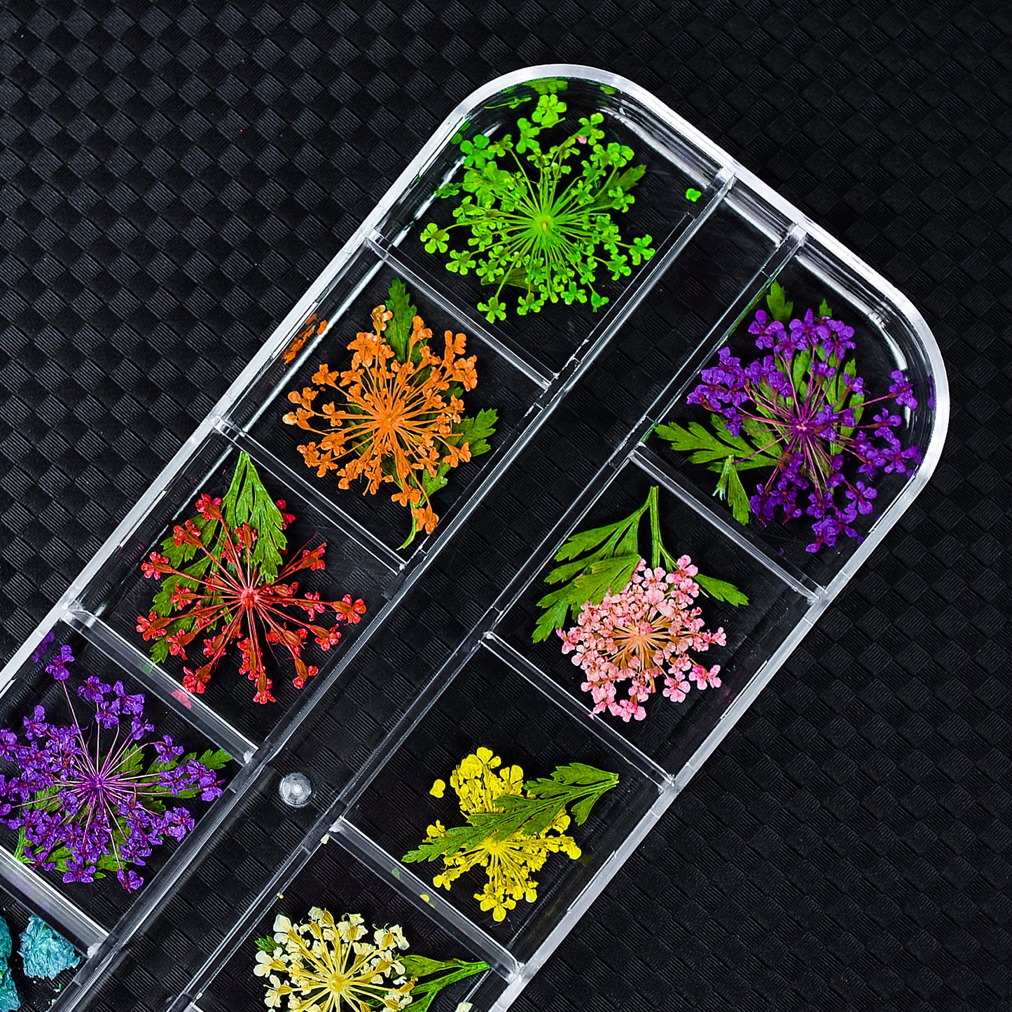 Dried Flowers