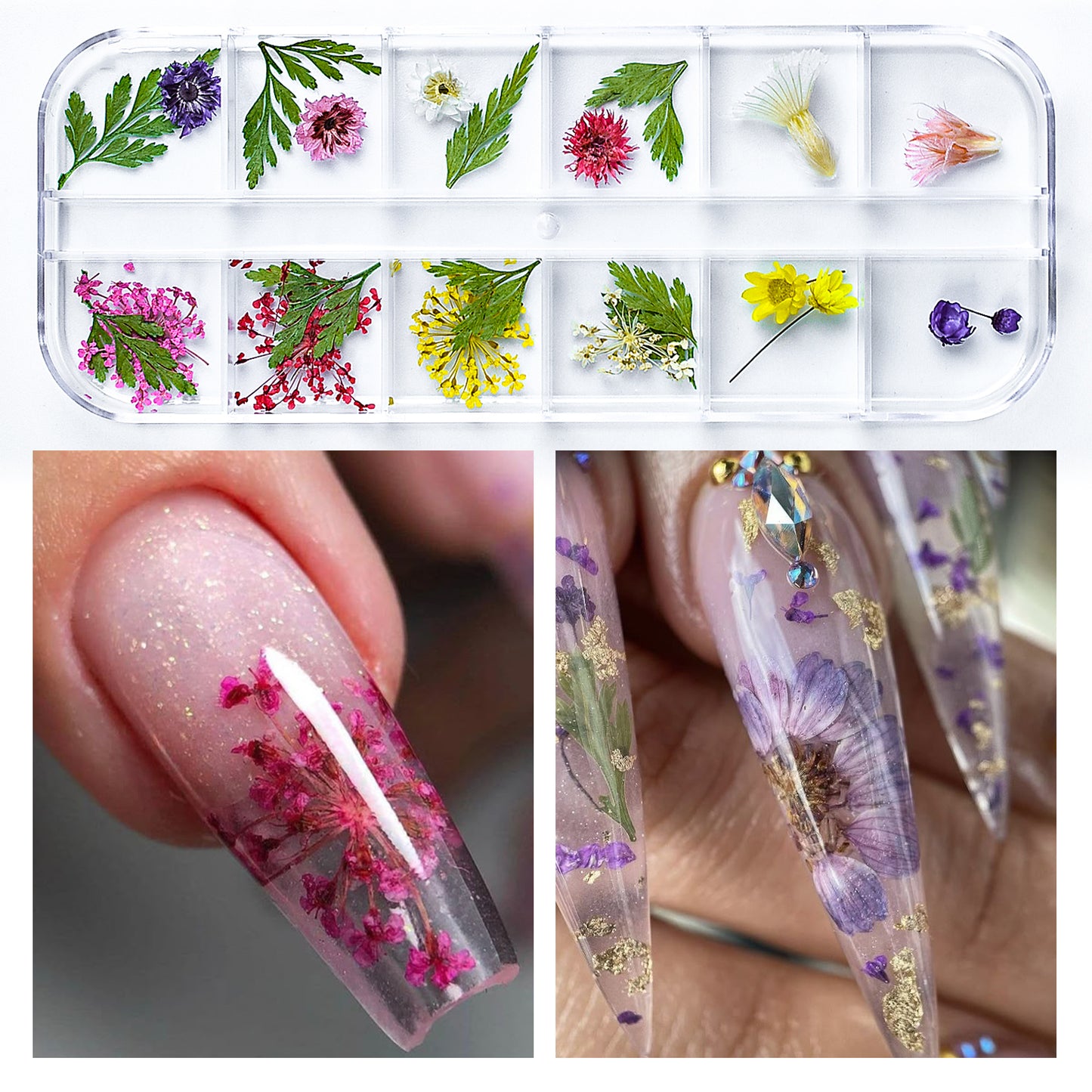 Dried Flowers