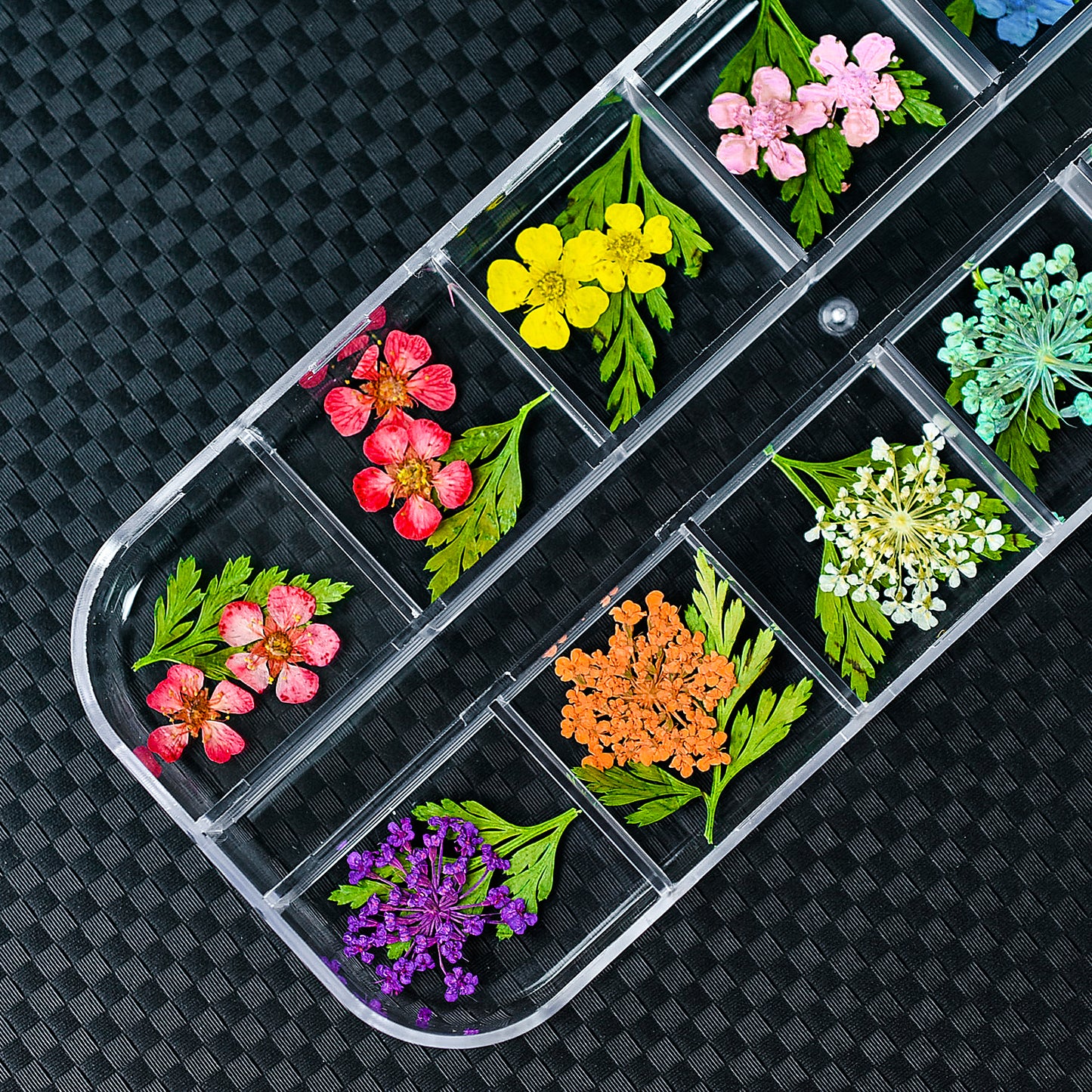 Dried Flowers