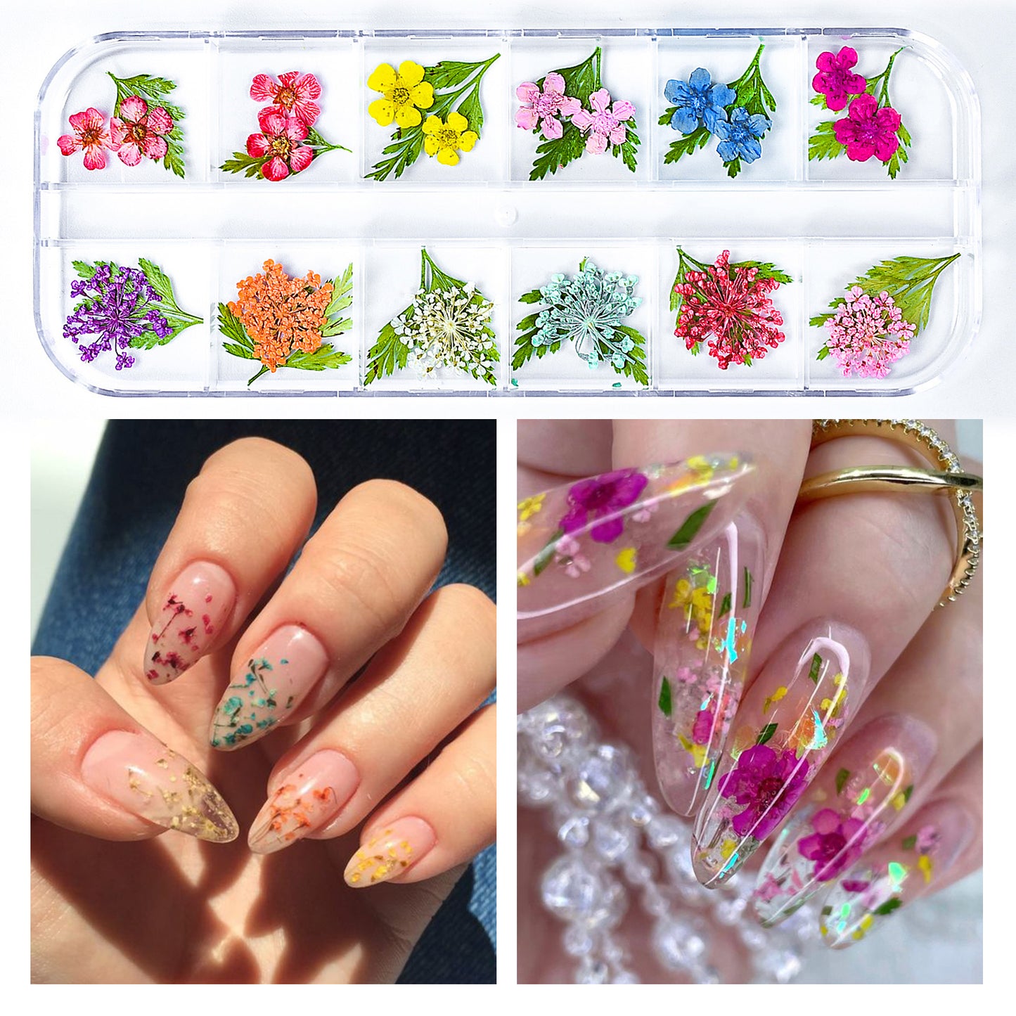 Dried Flowers