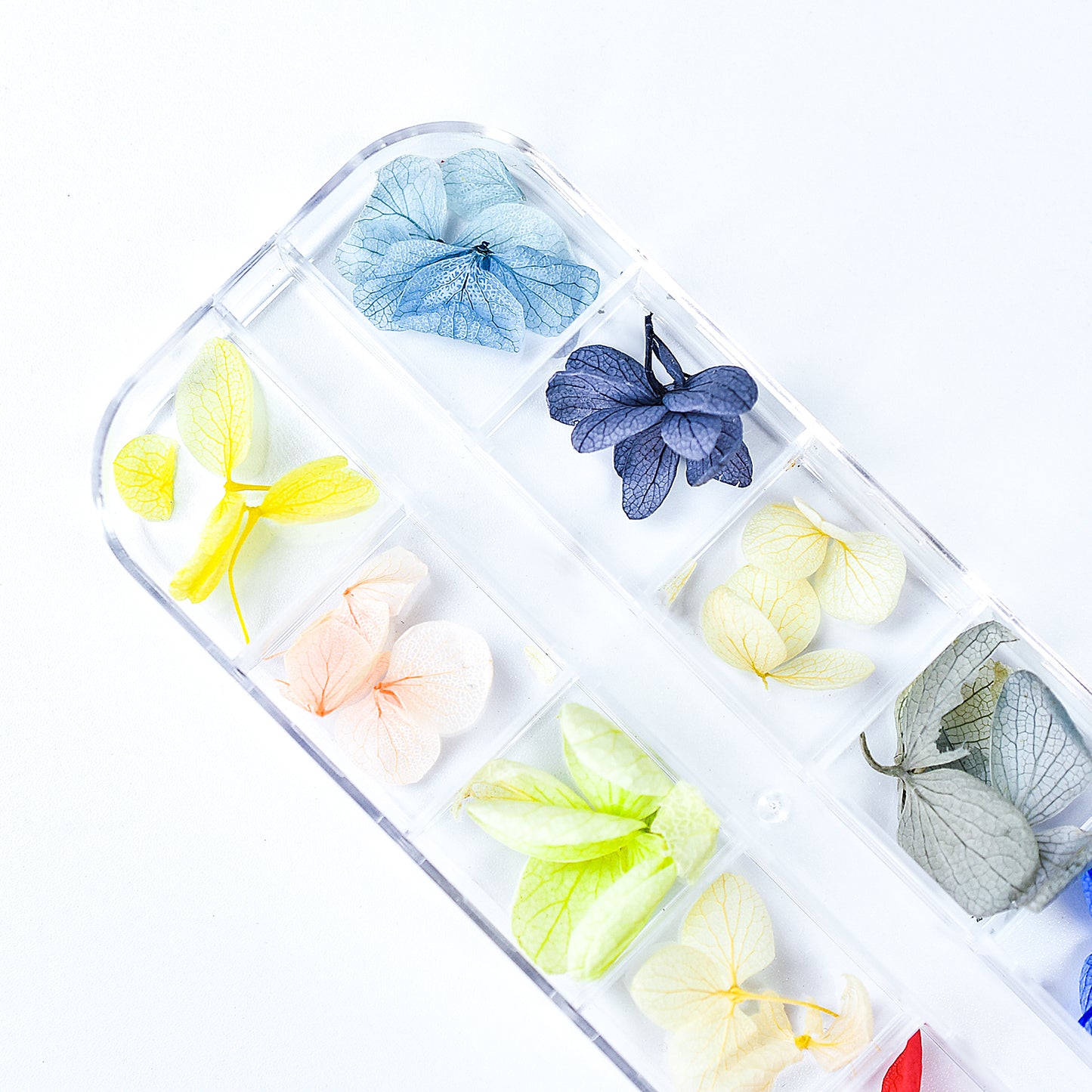 Dried Flowers