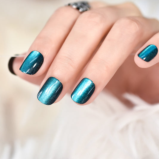 Juego completo de uñas presionadas con gel pintado a mano para mascotas.