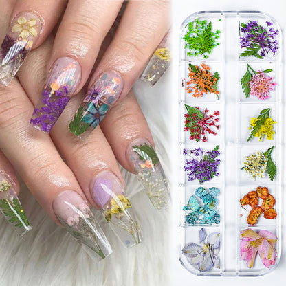 Dried Flowers