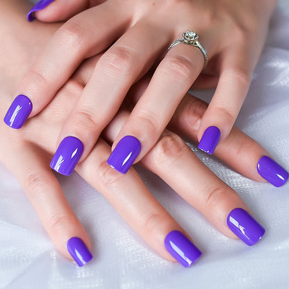 Lavender purple